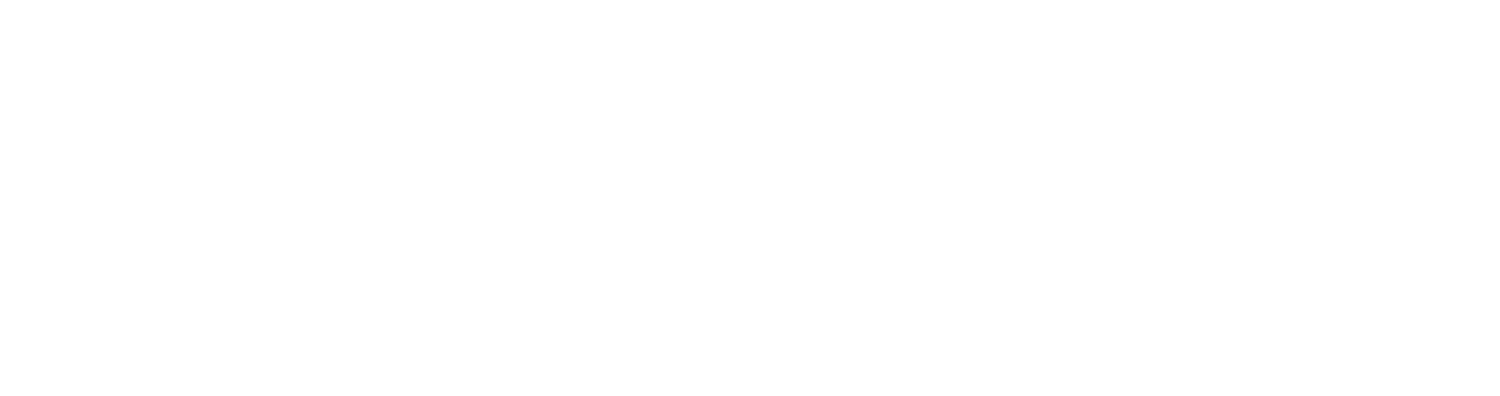 Iron Labs